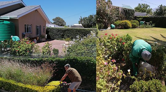 Garden-Maintenance-Image