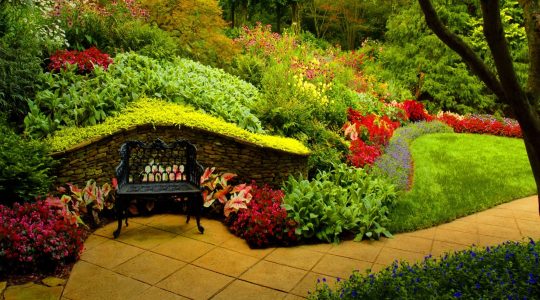 Landscaping Image