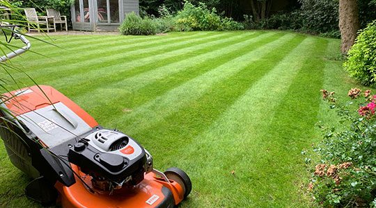 Lawn-Care